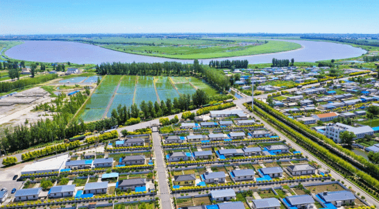 文明村镇 | 大洼区平安镇平安村成为国家级乡村治理示范村_全国_盘锦