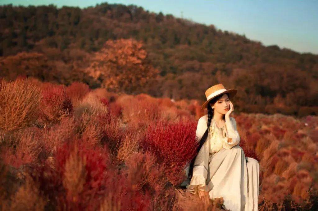 门票免费送!送!送!_景区_红海_蓬溪