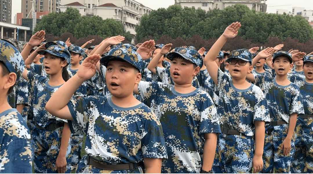 六安皋城中学校花图片