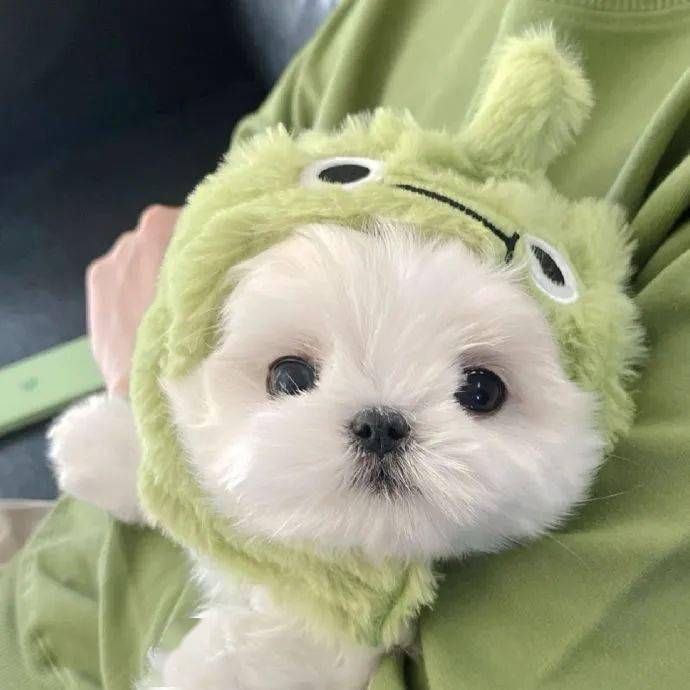 头像|小众可爱?头像 太喜欢了 676767