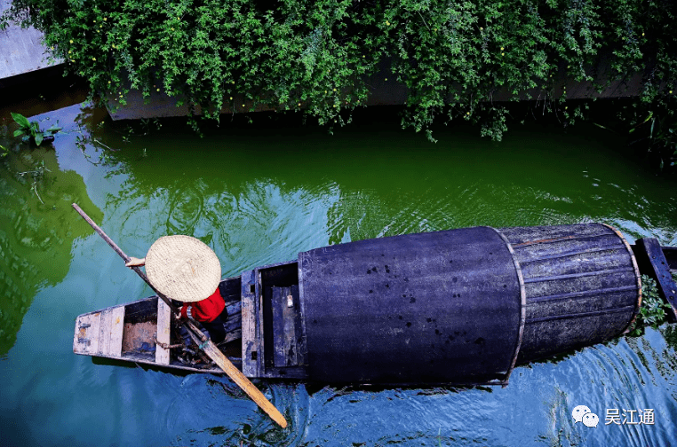 家门口的"船博会"_新桥河_居民_生活