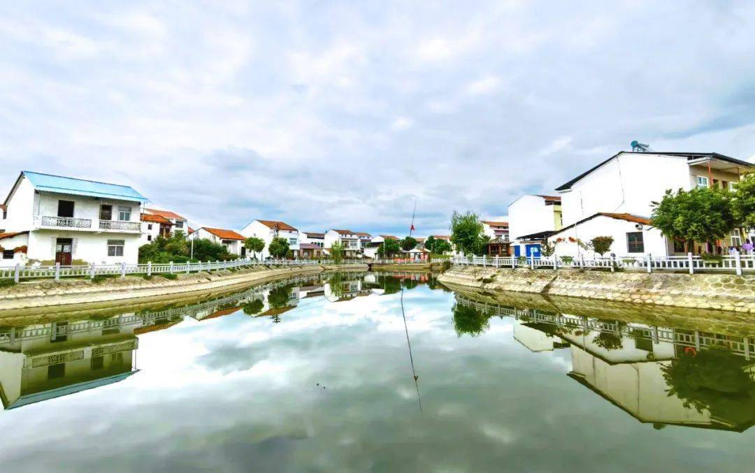 【每周一景】道桥镇烟墩村_蔡兴望_云梦县_终审