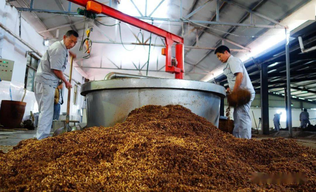 汉梁王专卖电话:0370 3229599