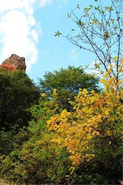 茅荆坝森林公园,最美的金秋山色_祭祀_敖包_百姓
