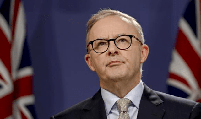 新毒王pirola登陆澳洲,变异程度惊人,总理宣布:启动新冠疫情彻查_调查