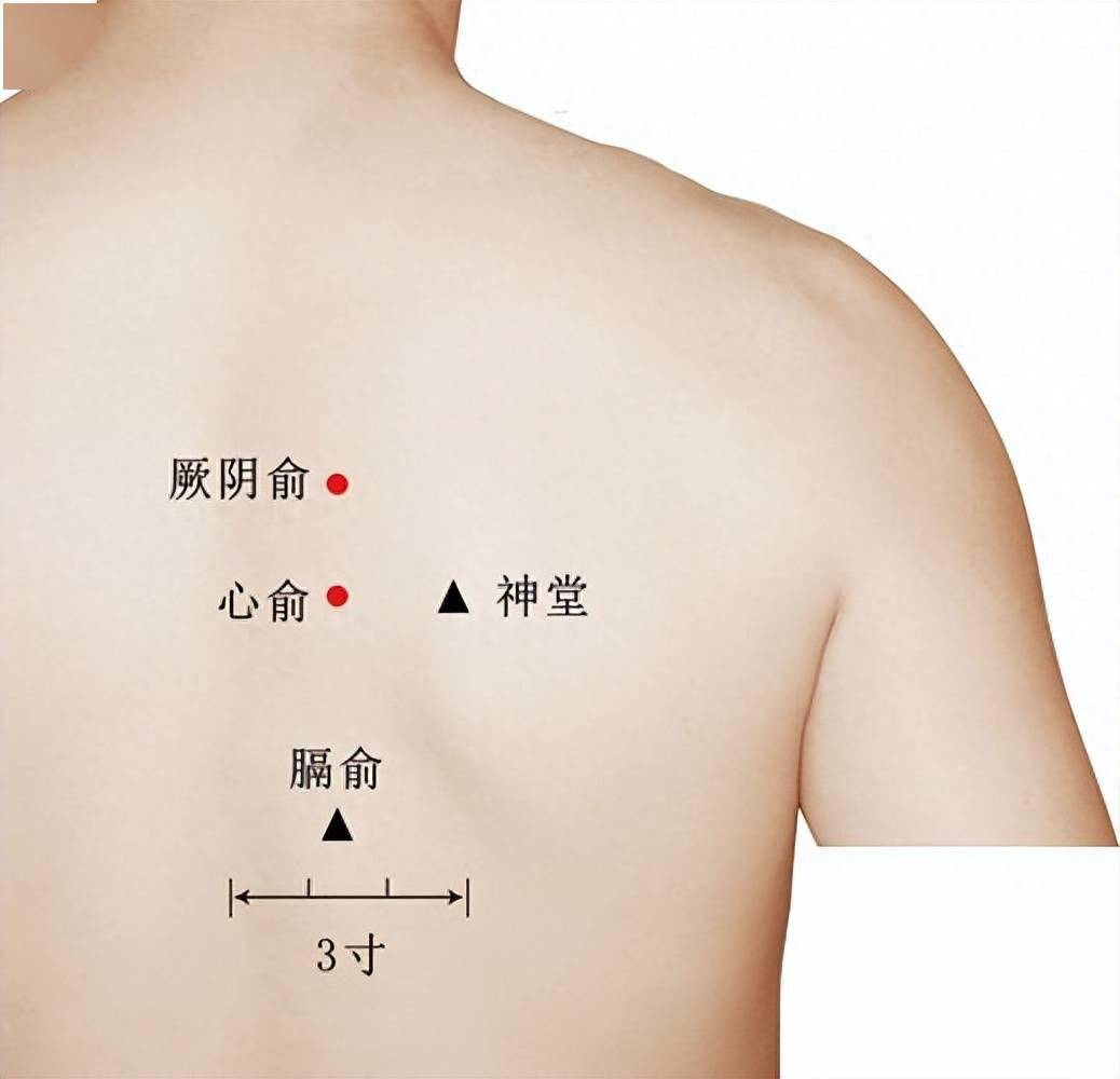 医治后背疼痛的辨证思维