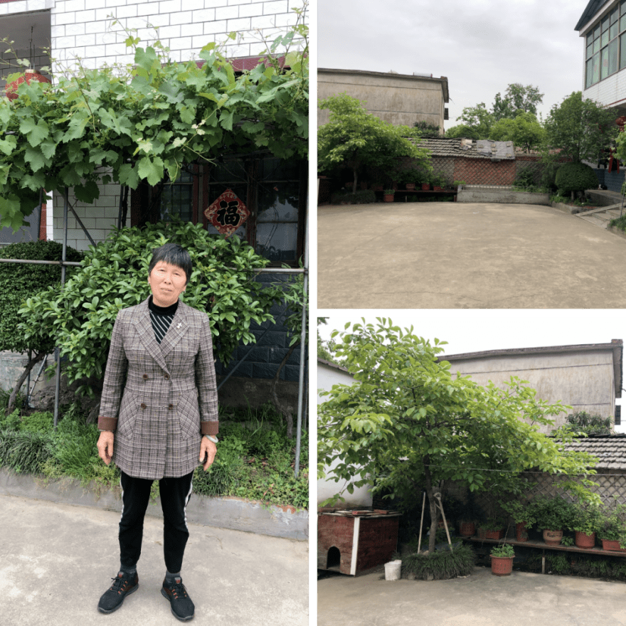 庐江"最美庭院女主人"名单揭晓_街道_村民组_建设