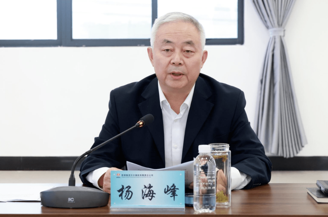 杨海峰介绍了2023年以来钢铁行业形势,省内外钢铁企业生产经营情况,并