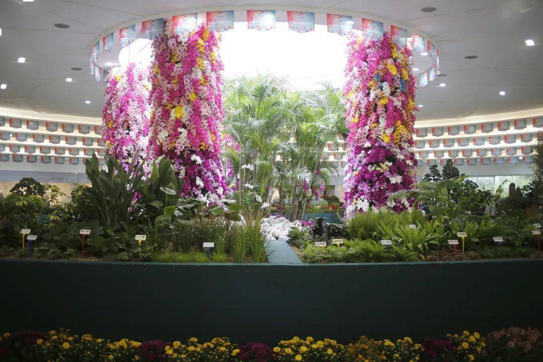 百花开莲城 第二届湖南花博会在湘潭开幕_展区_花木_岳塘区