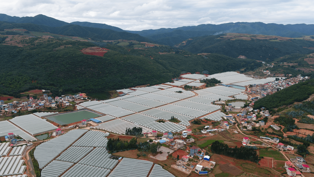 践行"十种鲜明导向"|奋力书写岔科乡村振兴新篇章_岔科镇_招商_企业