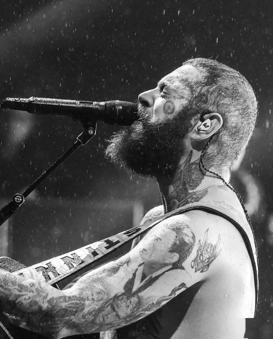 55garden分享 」_werent_austin_钻石