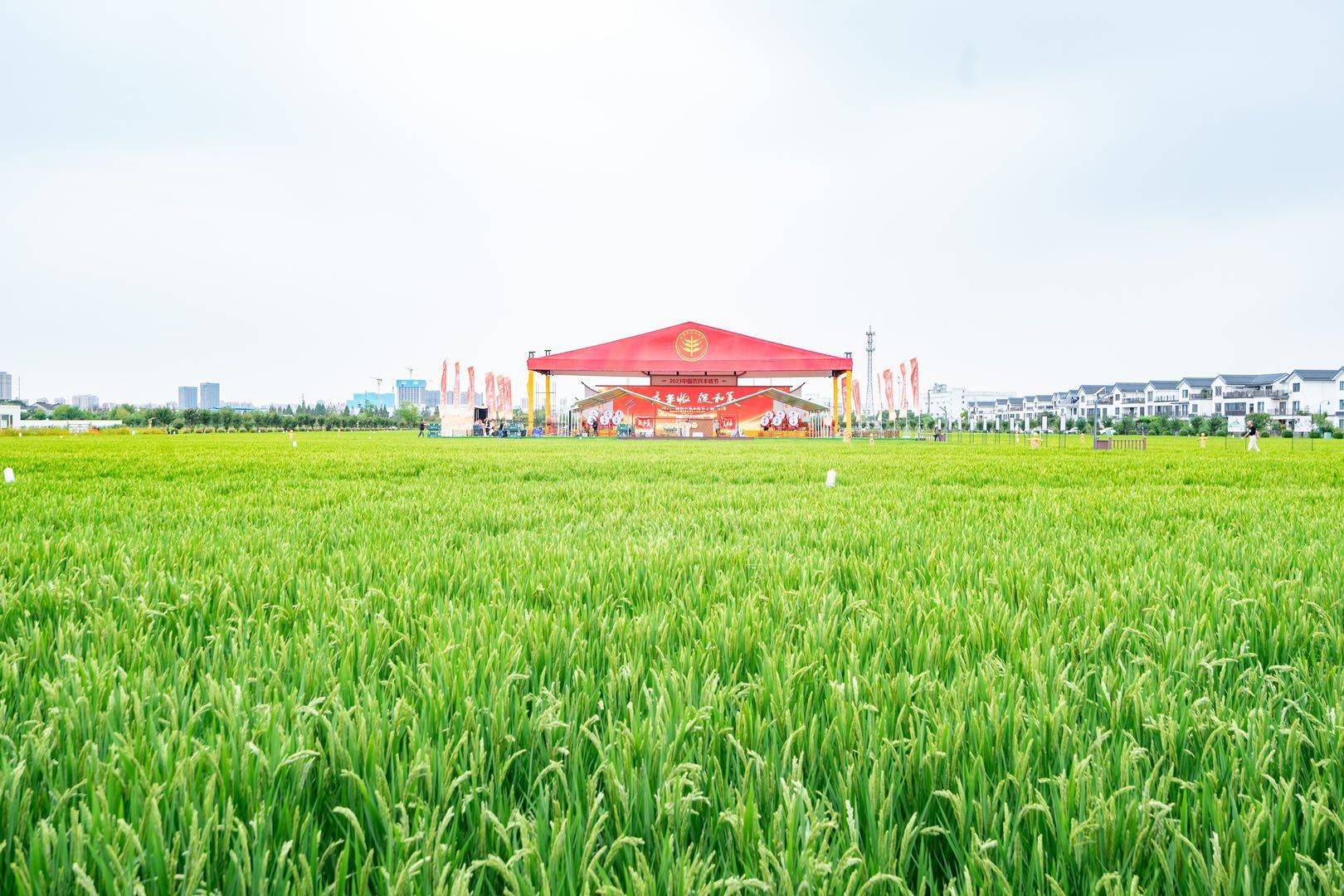 以“庆丰收 促和美”为主题,中国农民丰收节上海主会场系列活动启动_农业_乡村_农村