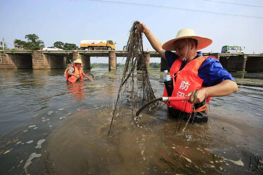 湖南郴州.杨汉斌(湖南岳阳)20230608.湖南湘阴.