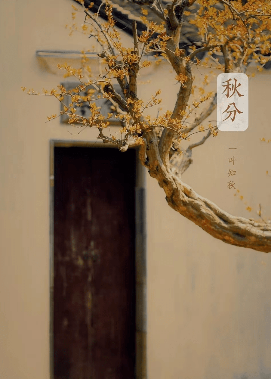 9月23日秋分文案，温柔又浪漫