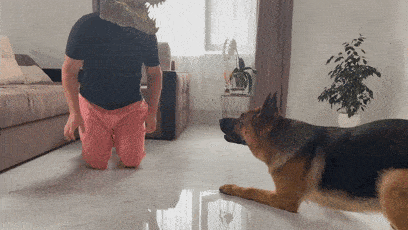 日本人伪装成鸟人和鸟交朋友,结果惨遭丑拒_鸽子_研究_人类