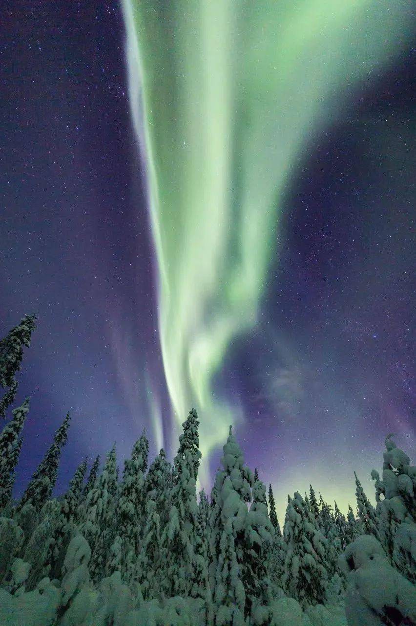 每年12月一到,冬季的拉普兰如同童话世界一般美不胜收.