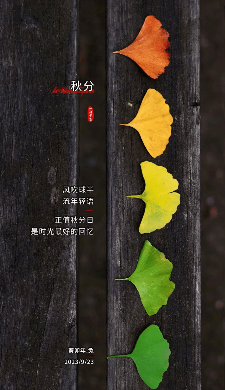 9月23日秋分文案，温柔又浪漫