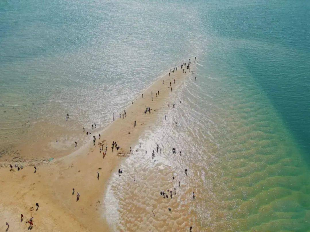 4天天发团:湛江南极村 硇洲岛 菠萝的海 雷州古城_徐闻_中国_亮点