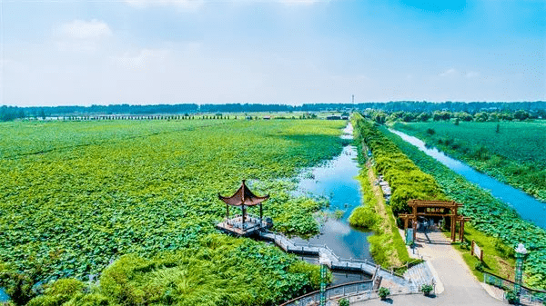 金湖这些旅游打卡点一定不要错过!_活动_内容_时间