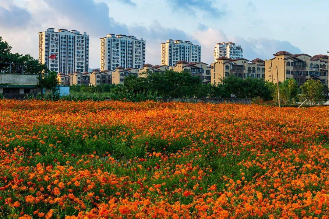 鲁家峙岛图片