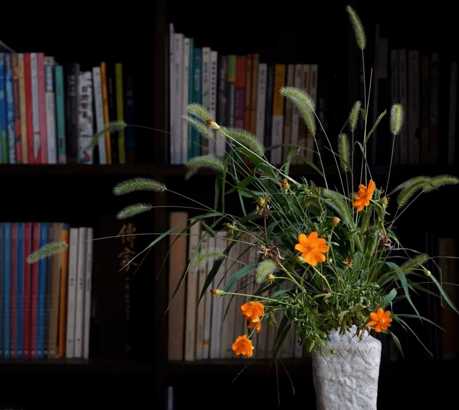 生活_深山_声色