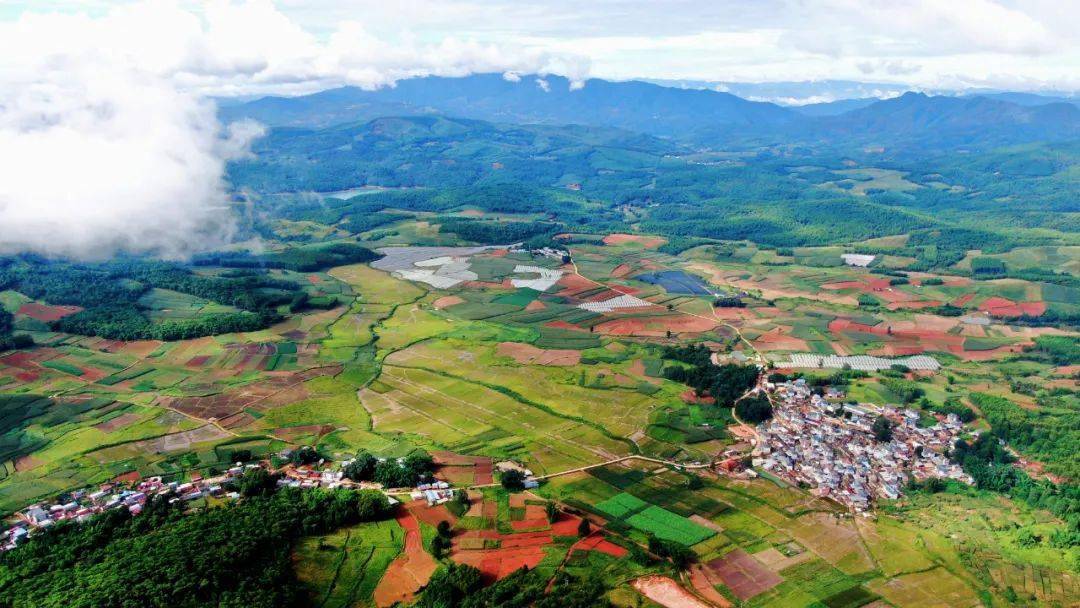 【乡村振兴】景谷永平:烟后轮作玉米 拓宽助农"钱景"