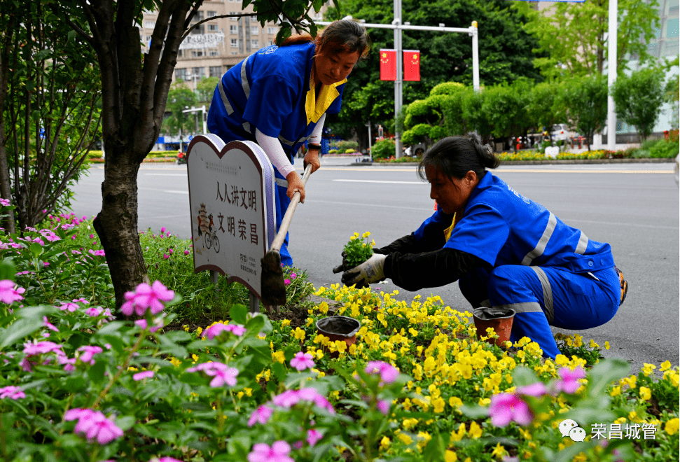 荣昌城市大变样,喜迎佳节_莲花广场_国庆_金科