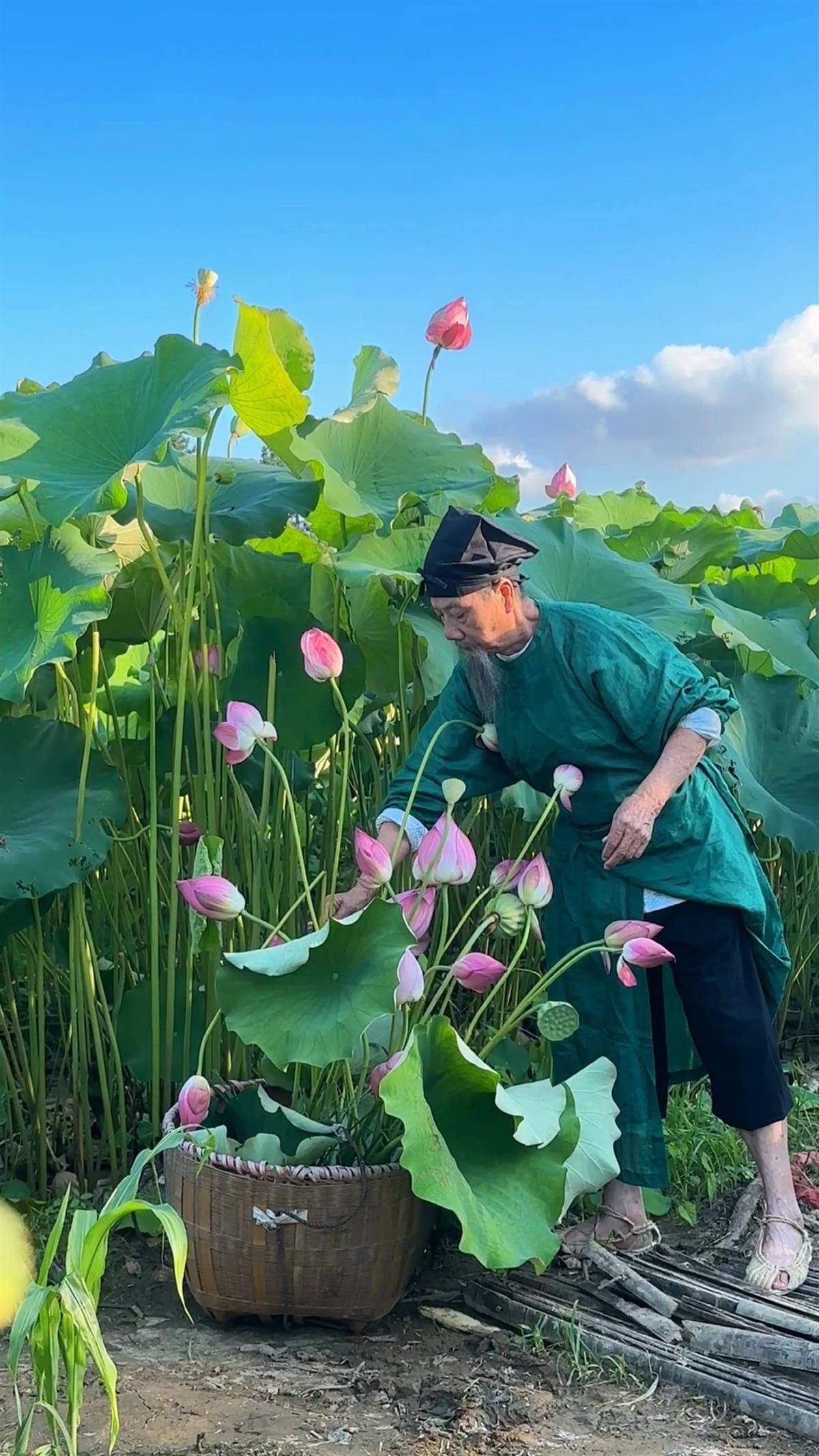 长沙78岁京剧演员"穿汉服街头送荷花"走红,网友:有种穿越时空的意境