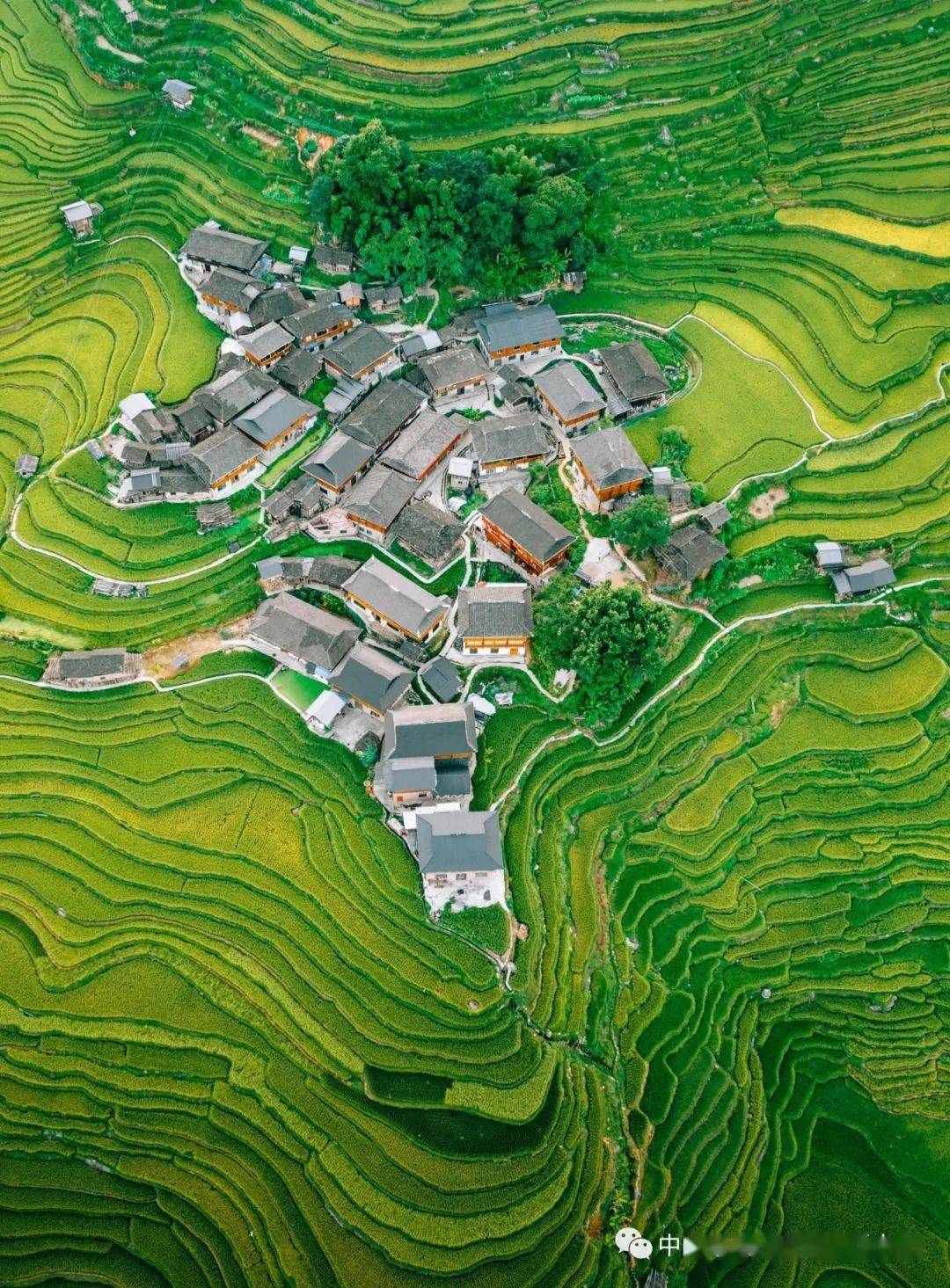加榜梯田 纯纯 摄加榜梯田 彭泽良 摄加榜梯田 尹刚 摄岜沙苗寨岜沙