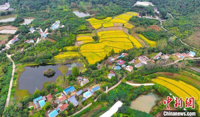 肥西县铭传乡群山,民居与稻田交相辉映,勾勒出一幅动人的生态画卷(无