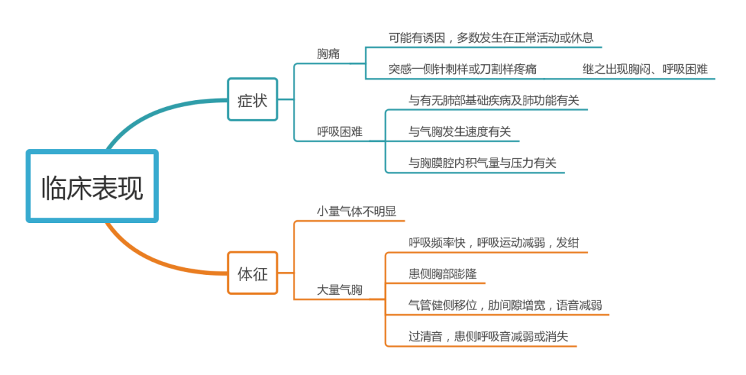 气胸的临床表现4气胸的病因与发病机制3气胸的分类:2胸膜腔,是一个