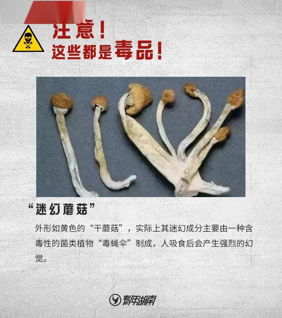 八种新型毒品图片