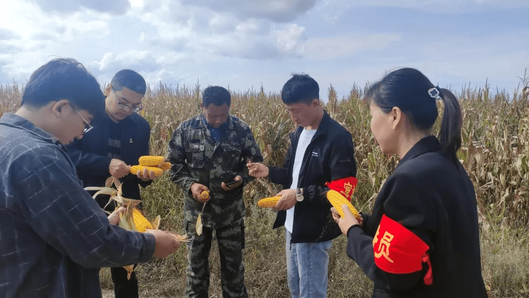 依兰农场场长图片