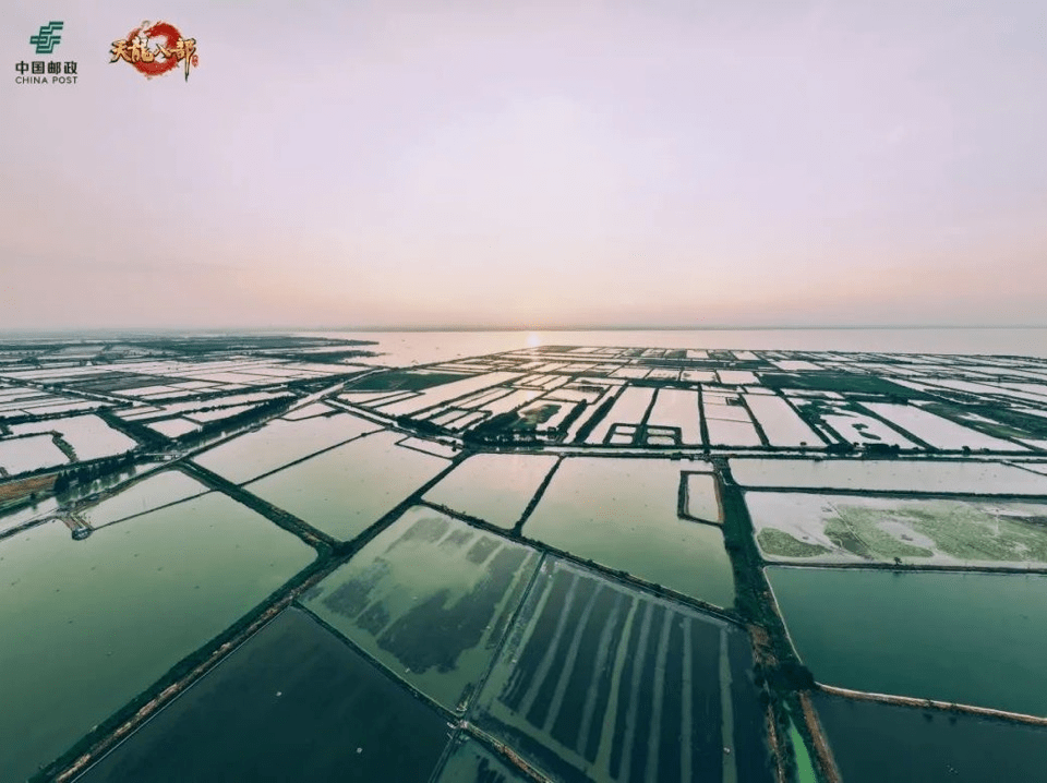 侠义助农正式启程！老赵邀您参与游戏内外养蟹、识蟹、品蟹一站式服务！