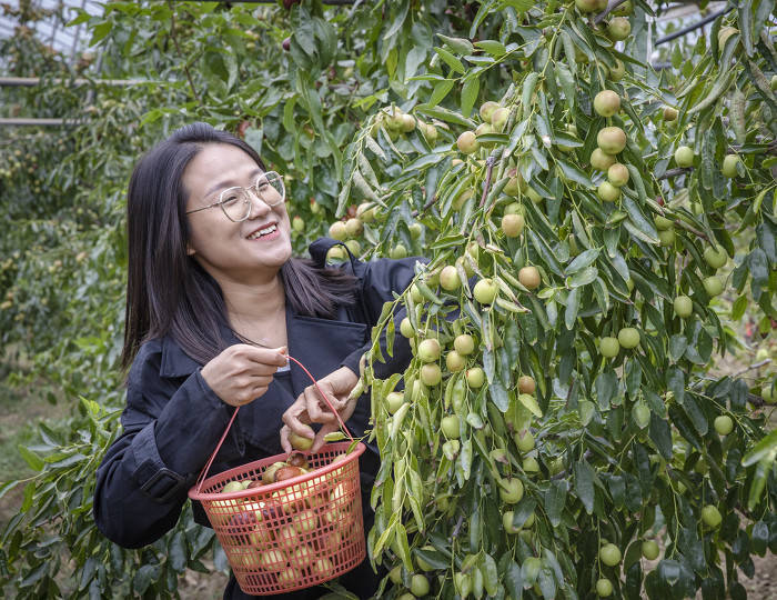 汉中市柳林个人简历图片