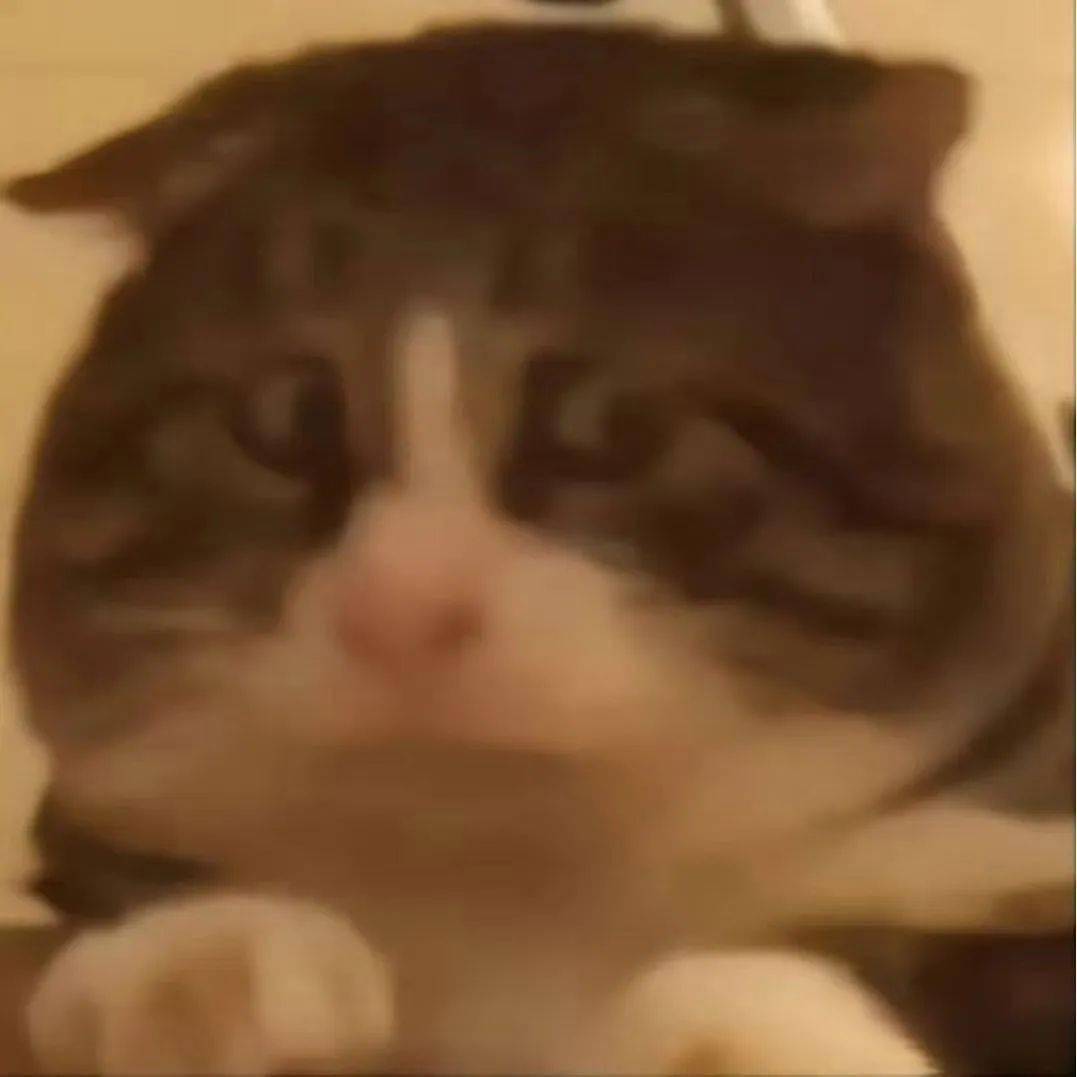 搞笑沙雕表情包：看傻瓜~_搜狐网, image size:1077x1077