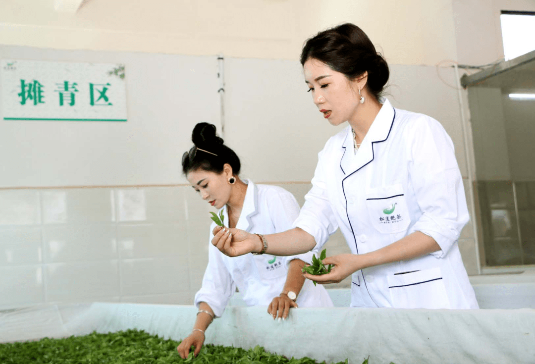 代表风采 | 冷艳:妇女创业就业领头雁_思南县_企业_发展