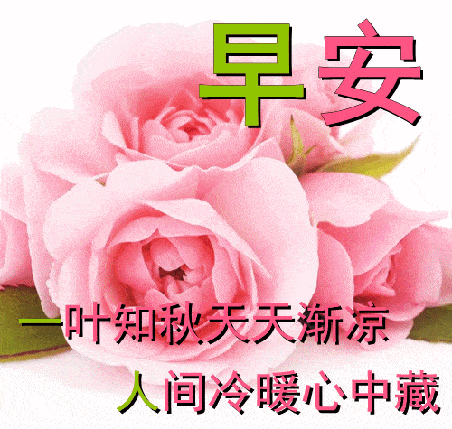 早上好动态表情图片大全,早晨好动图美图大全_祝福_开心_爱的