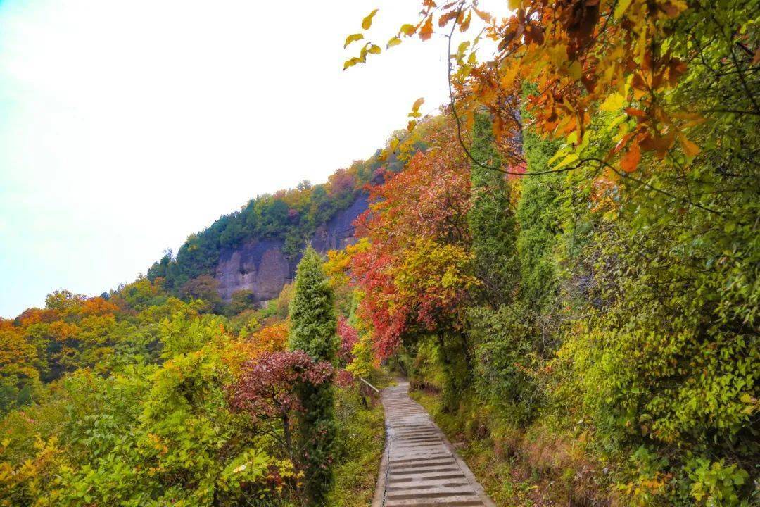 邂逅山河温柔,秋天总要去看一次铜川的红叶吧!_香山_薛家寨_秋风