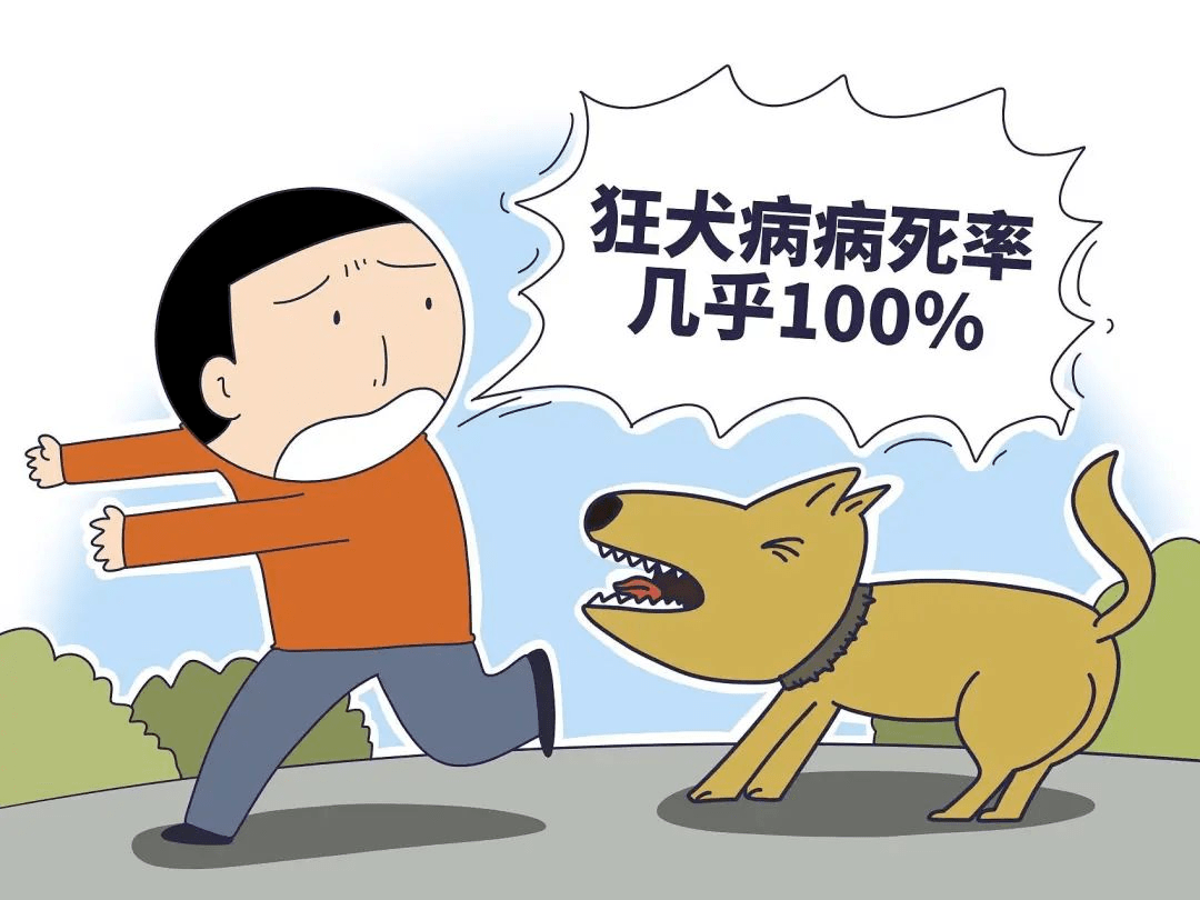 关于狂犬病,你一定要知道的要点!_动物_发病_疫苗