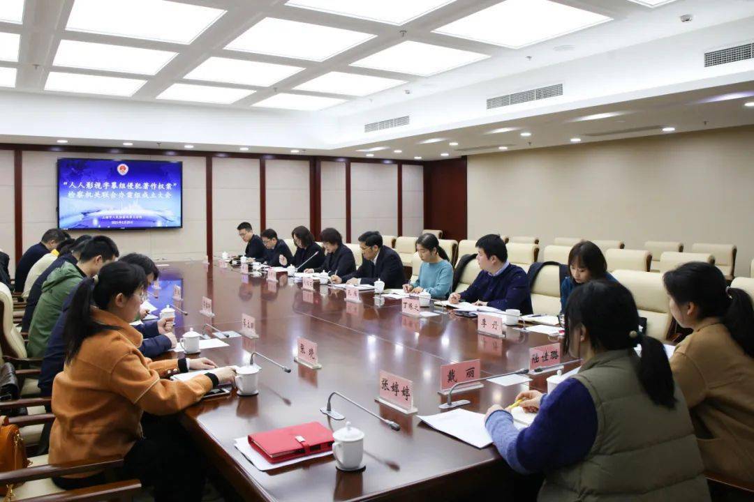 "人人影视字幕组"侵犯著作权案始末_网站_梁某某_作品