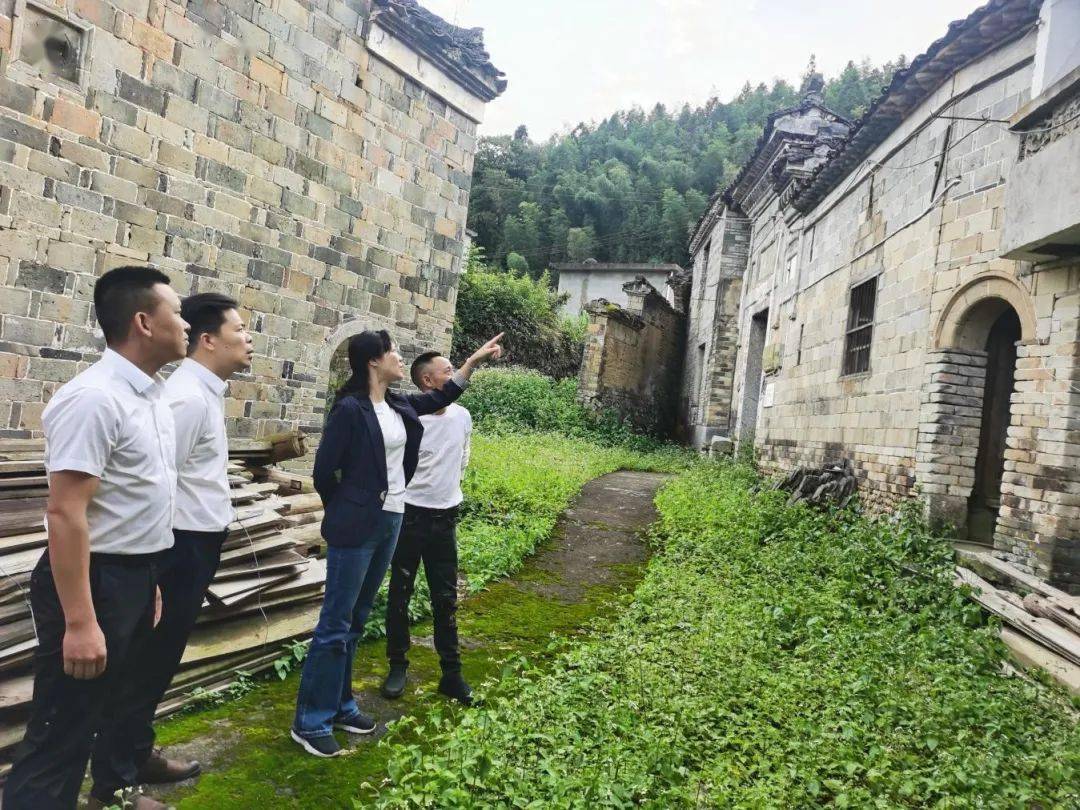 邵武市人民政府市长郭绯红带队深入桂林乡,金坑乡开展主题教育调研暨"