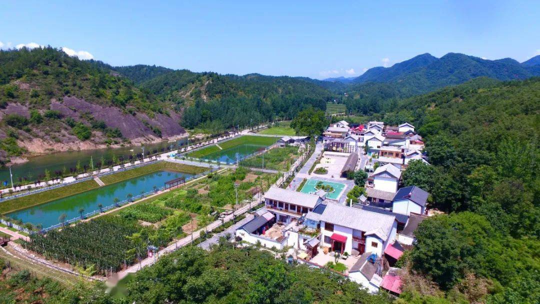 猕猴桃小镇(图源:西峡县委宣传部)马俊介绍,比如,依托猕猴桃主产区