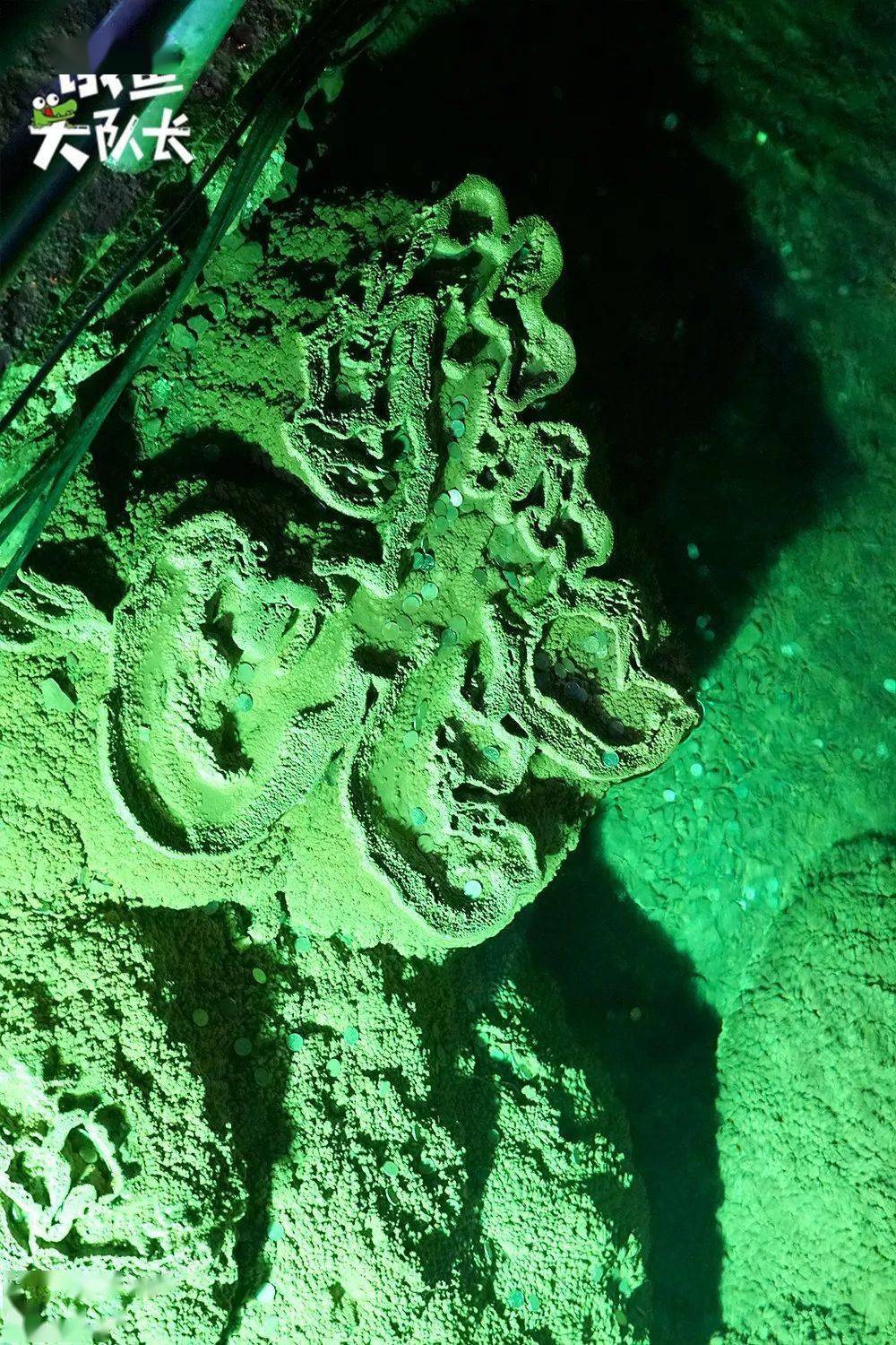 【小勺严选】268元起抢「永福金钟山」2大1小两天一夜温泉之旅!