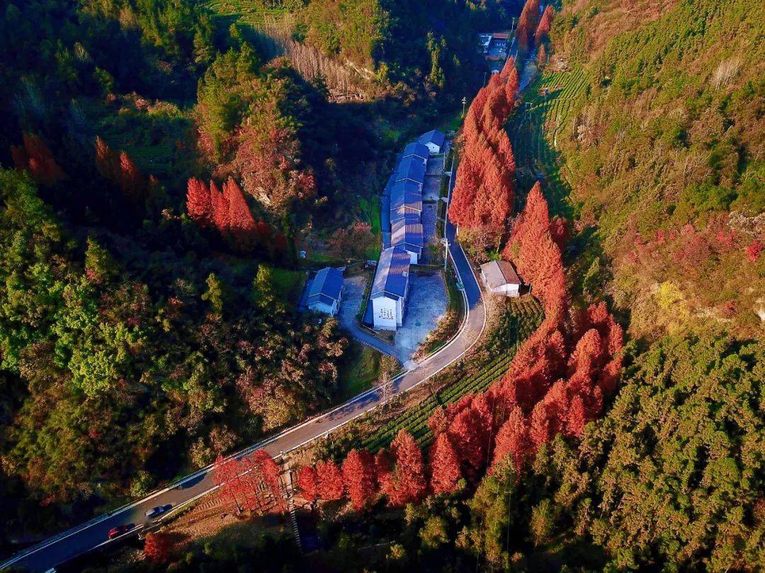 谁在十堰这里住,真让人羡慕05_柏林镇_马山_张湾区