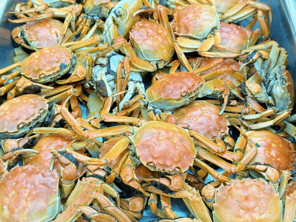 图:谢燕婷,王蓉文:谢燕婷,王蓉,龙宣航historical articles【11年与