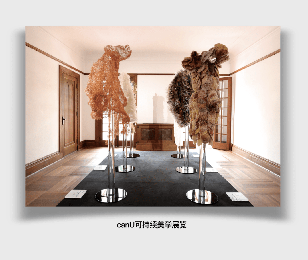 对话崔丹:再给可持续时尚多些耐心吧_实践_行业_发展