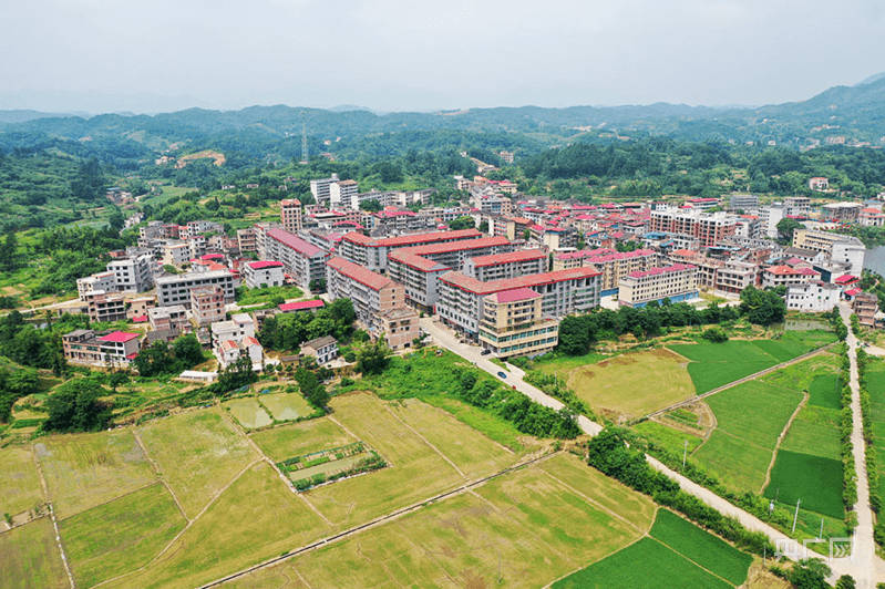 "大安乡党委书记唐宏羽提起这些成绩的取得,感慨万千.