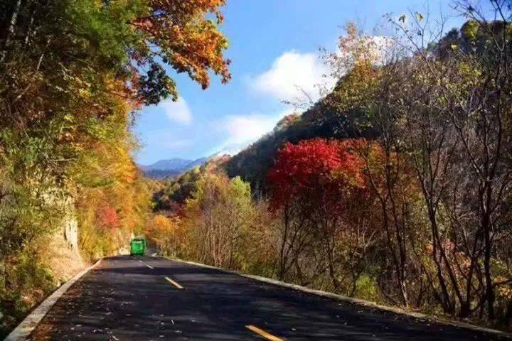 心~做好出游计划与攻略来黄柏塬感受最美金秋红叶景区咨询与求救电话