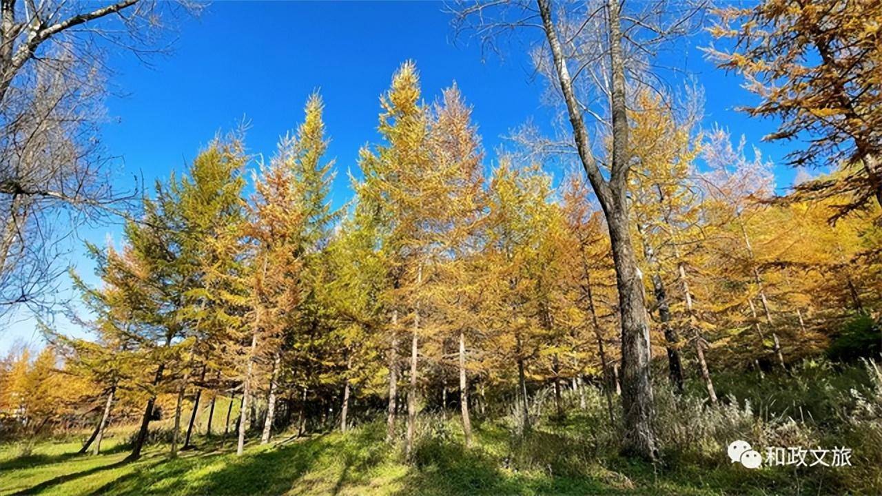 探索金秋胜景,感受临夏松鸣岩景区的别样魅力_大自然_季节_暖色